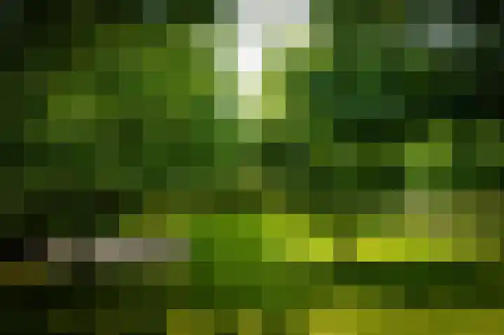 Delwijnsekade 12 Delwijnen thumbnail 61