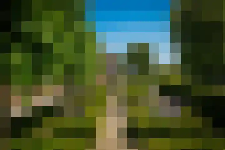 Delwijnsekade 12 Delwijnen thumbnail 62