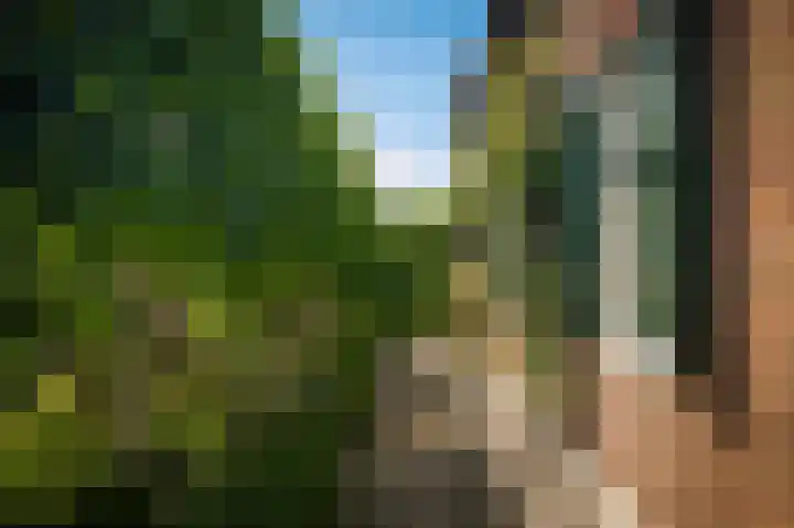 Delwijnsekade 12 Delwijnen thumbnail 65