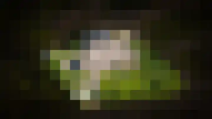 Delwijnsekade 12 Delwijnen thumbnail 68