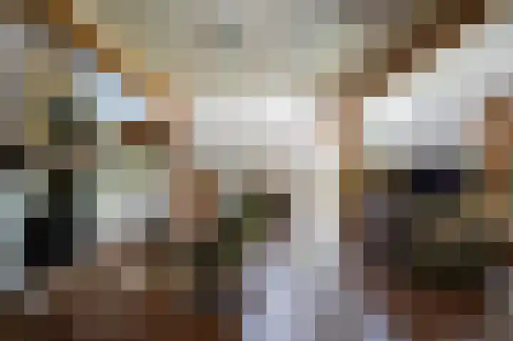Delwijnsekade 12 Delwijnen thumbnail 7