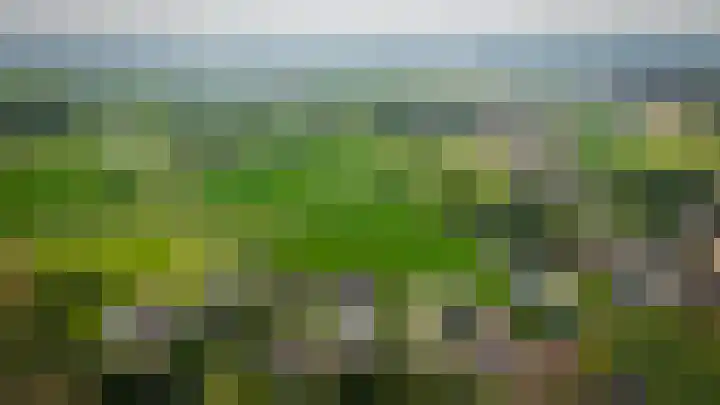 Delwijnsekade 12 Delwijnen thumbnail 71