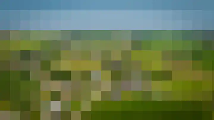 Delwijnsekade 12 Delwijnen thumbnail 72