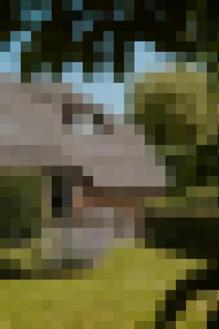 Delwijnsekade 12 Delwijnen thumbnail 73