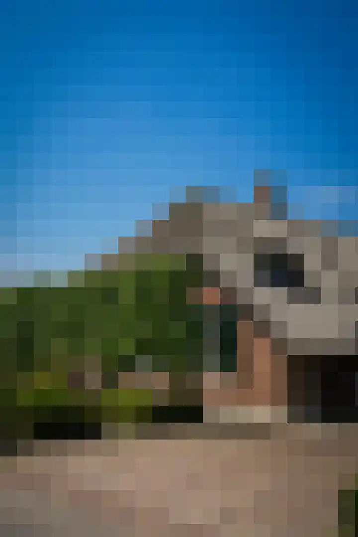 Delwijnsekade 12 Delwijnen thumbnail 75