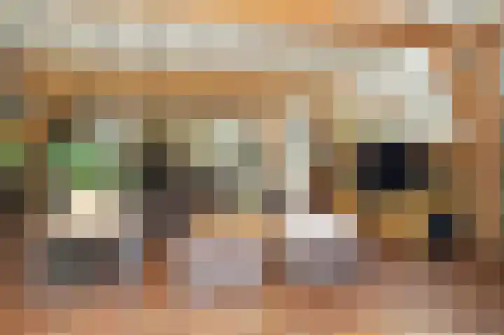 Delwijnsekade 12 Delwijnen thumbnail 8