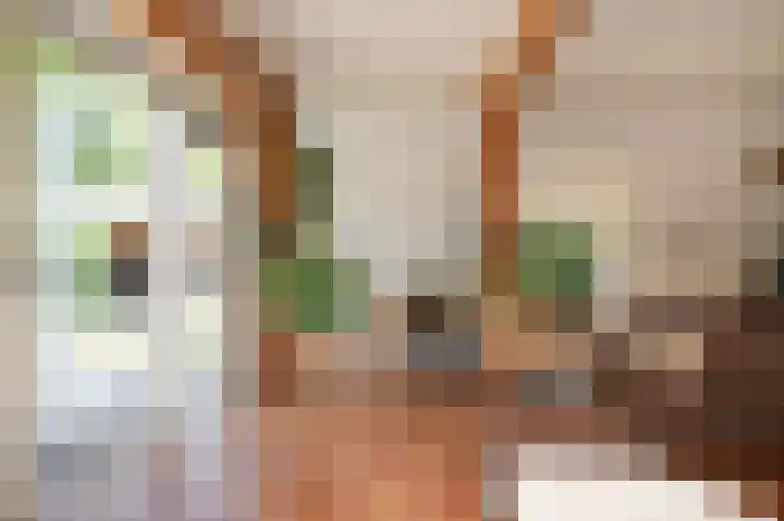 Delwijnsekade 12 Delwijnen thumbnail 9