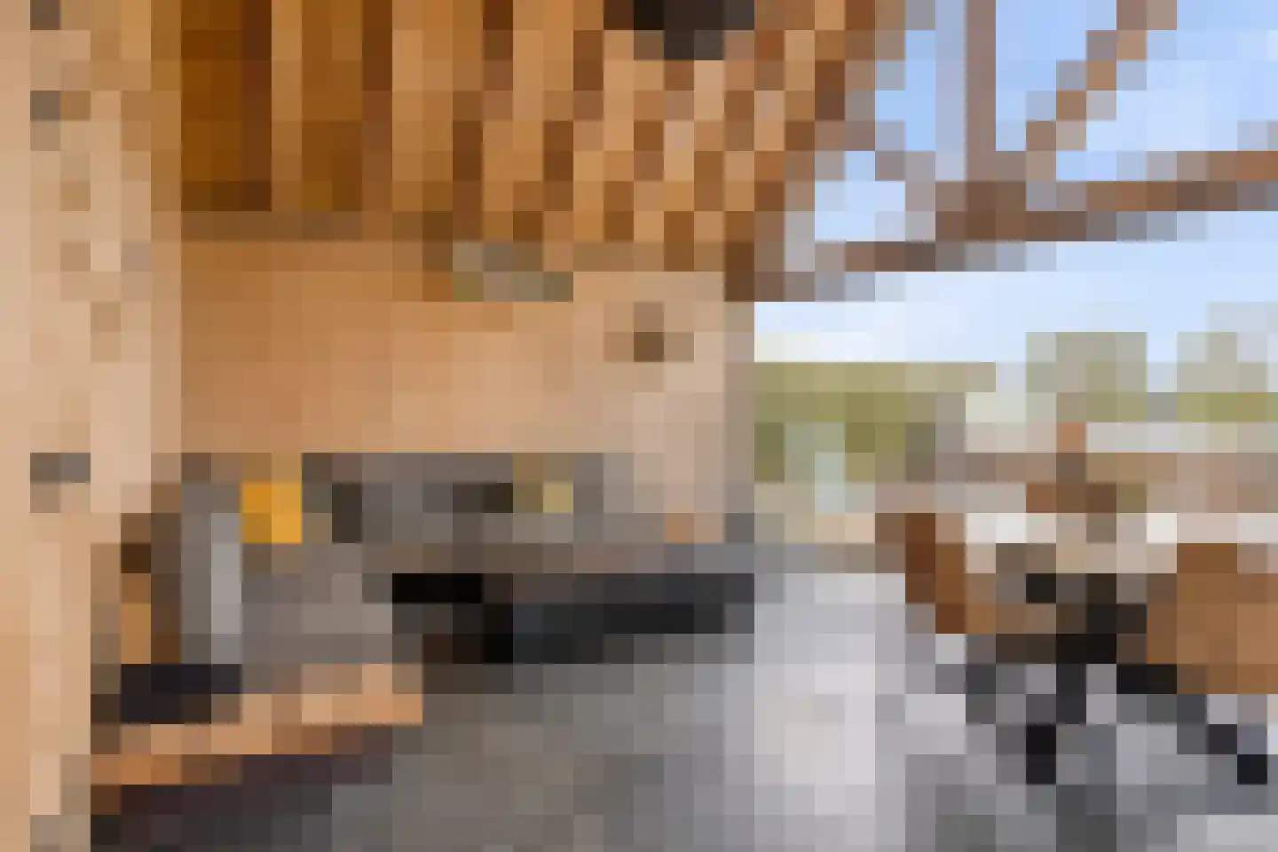 Delwijnsekade 13 a Delwijnen thumbnail 11