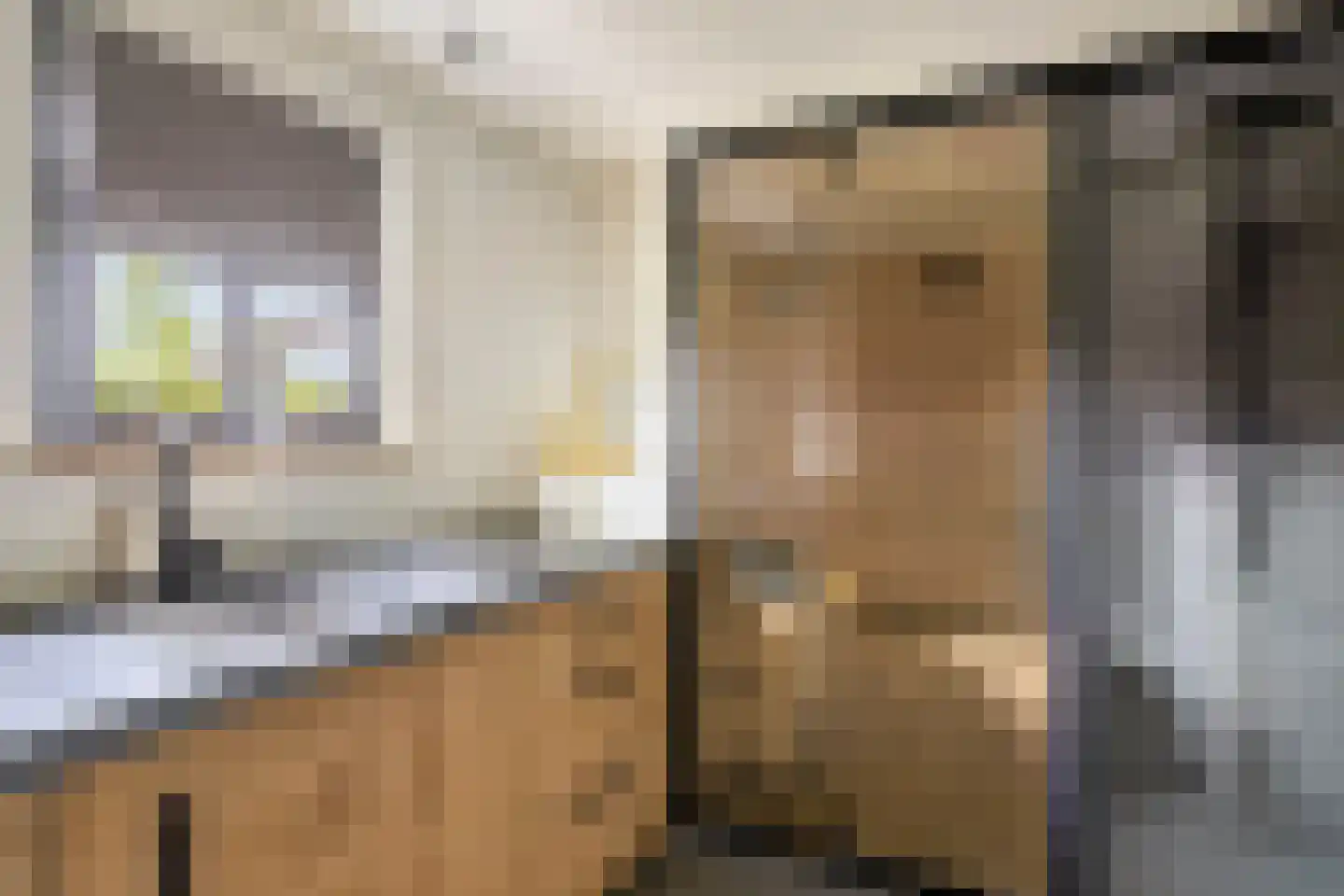 Delwijnsekade 13 a Delwijnen thumbnail 13