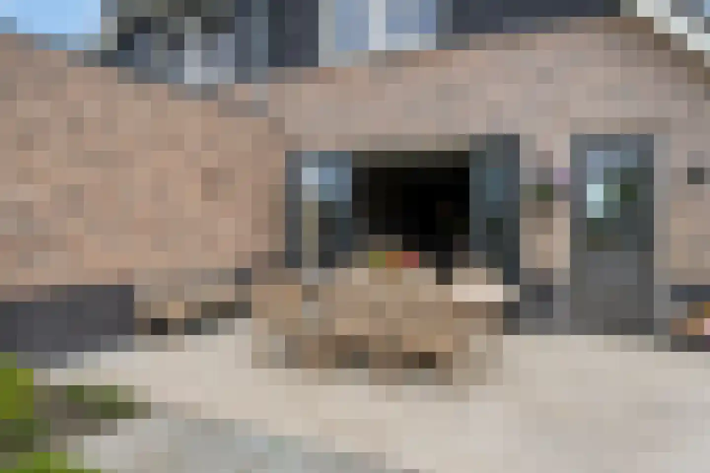 Delwijnsekade 13 a Delwijnen thumbnail 16