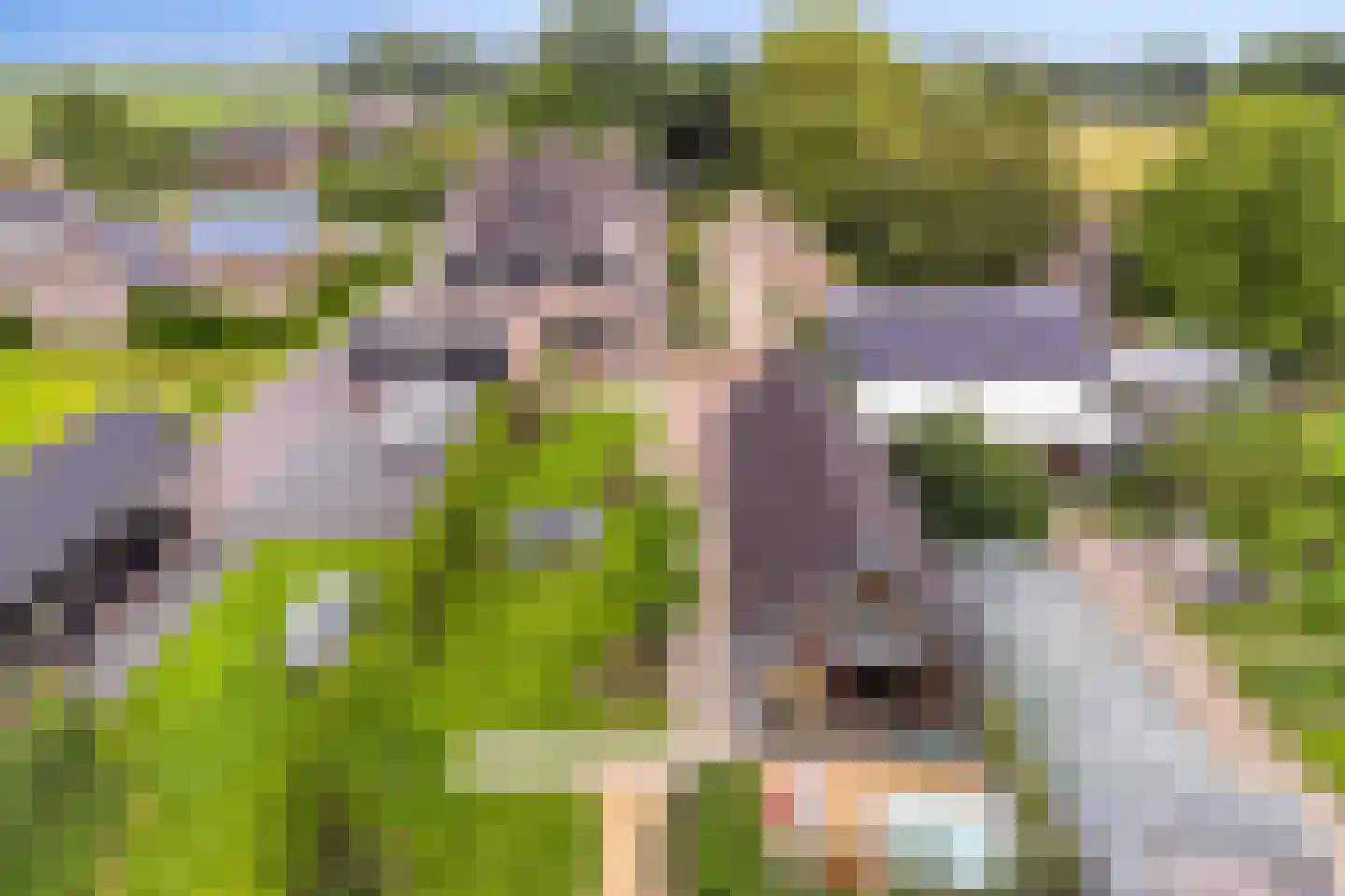 Delwijnsekade 13 a Delwijnen thumbnail 21