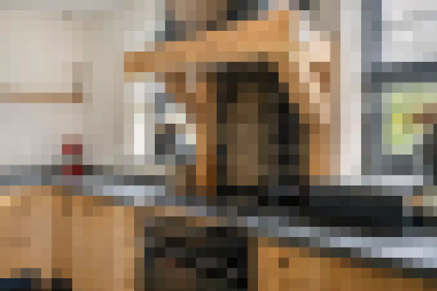 Delwijnsekade 13 a Delwijnen thumbnail 31