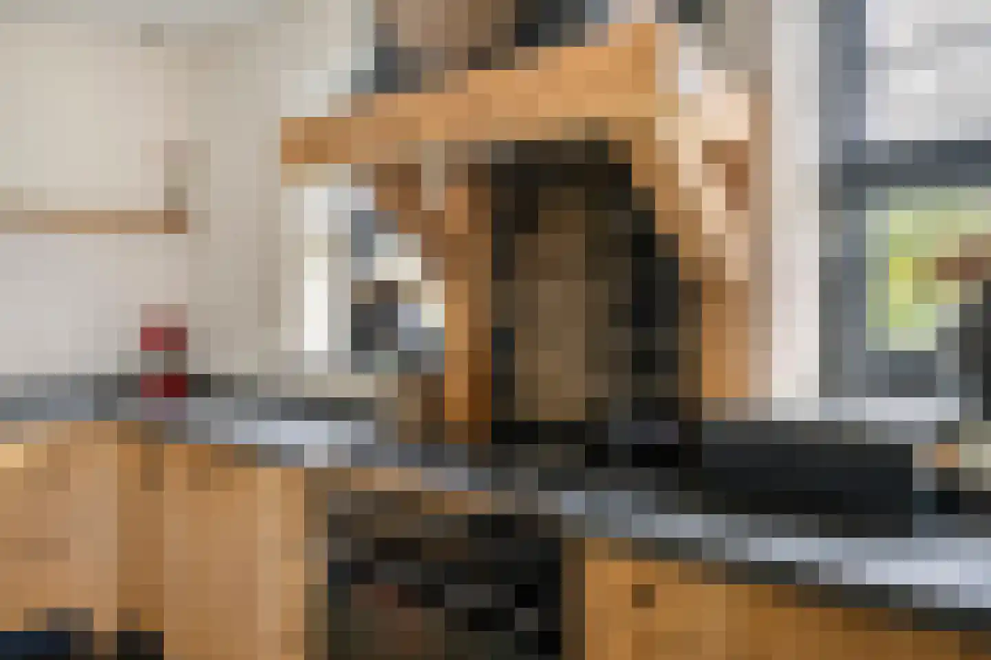 Delwijnsekade 13 a Delwijnen thumbnail 31