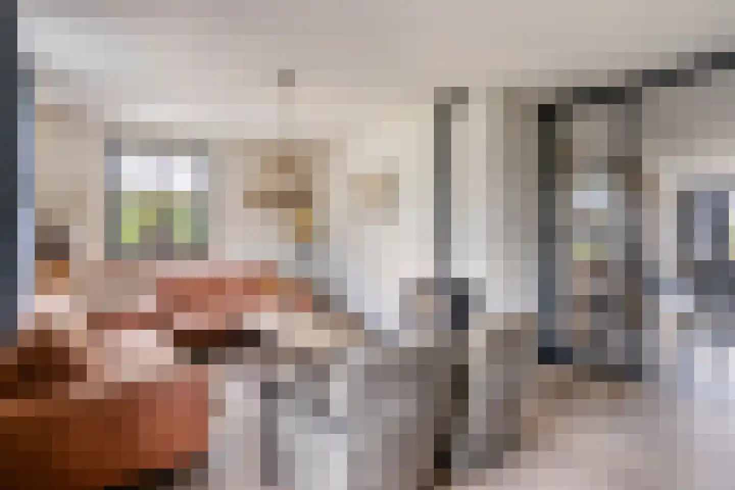 Delwijnsekade 13 a Delwijnen thumbnail 4