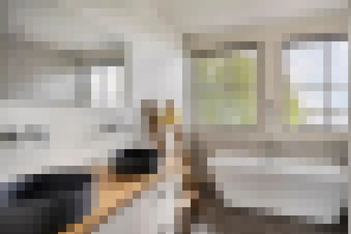 Delwijnsekade 13 a Delwijnen thumbnail 41
