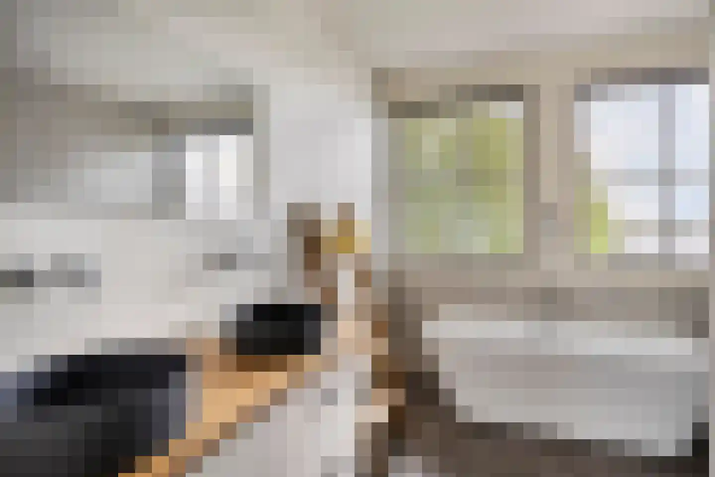 Delwijnsekade 13 a Delwijnen thumbnail 41