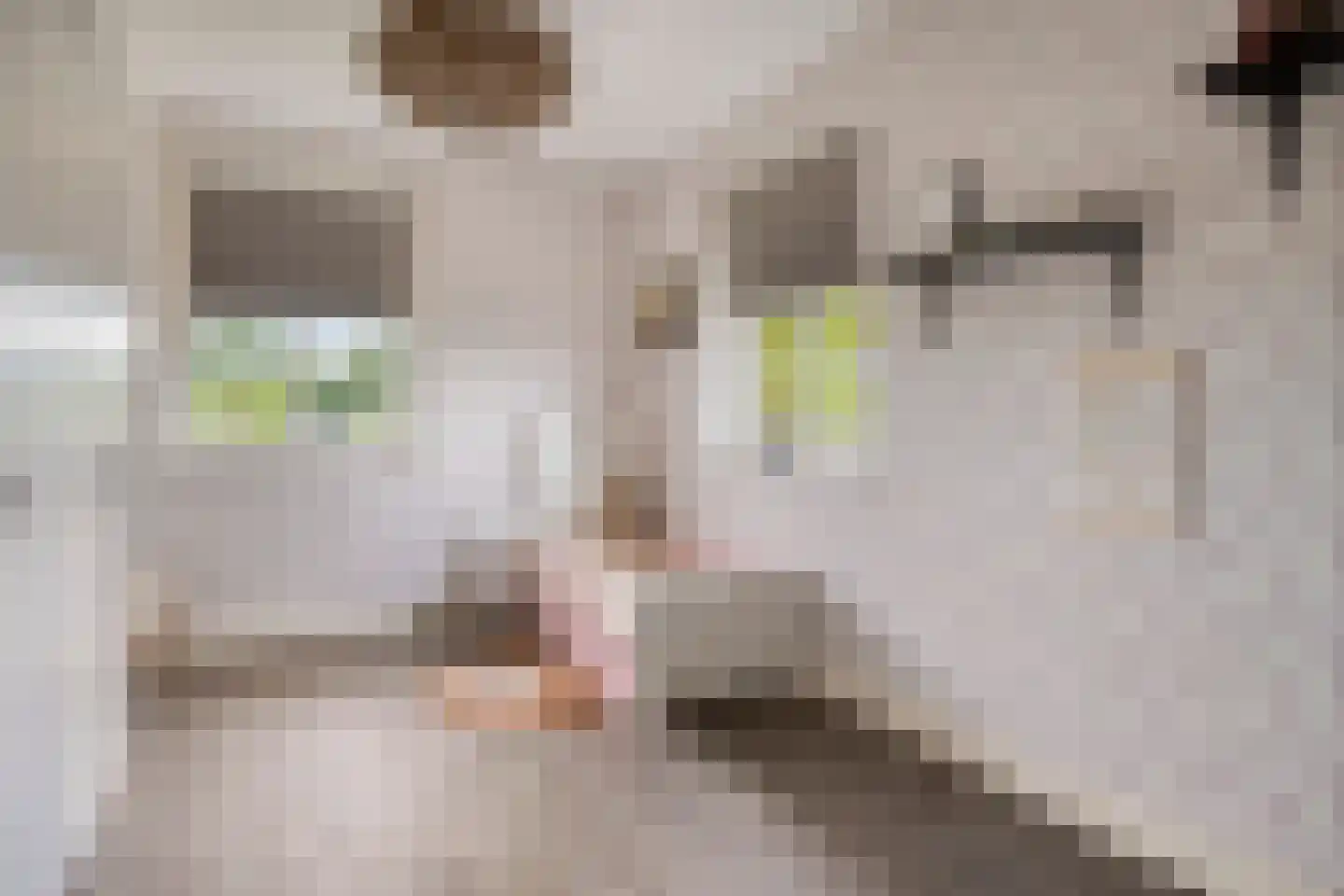 Delwijnsekade 13 a Delwijnen thumbnail 43