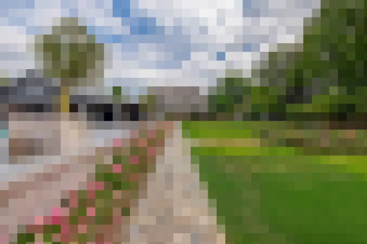 Delwijnsestraat 5 Kerkwijk thumbnail 13