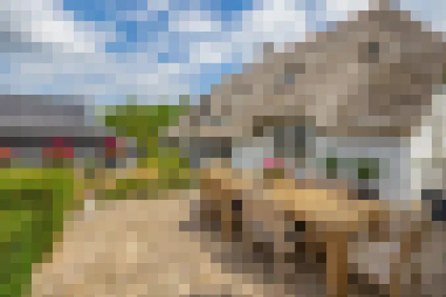Delwijnsestraat 5 Kerkwijk thumbnail 20