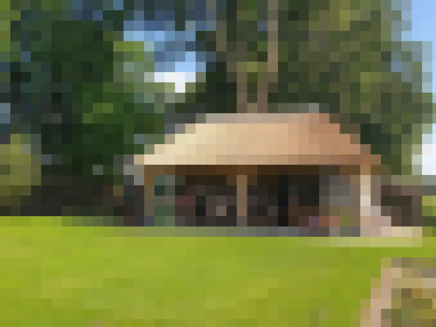 Delwijnsestraat 5 Kerkwijk thumbnail 22