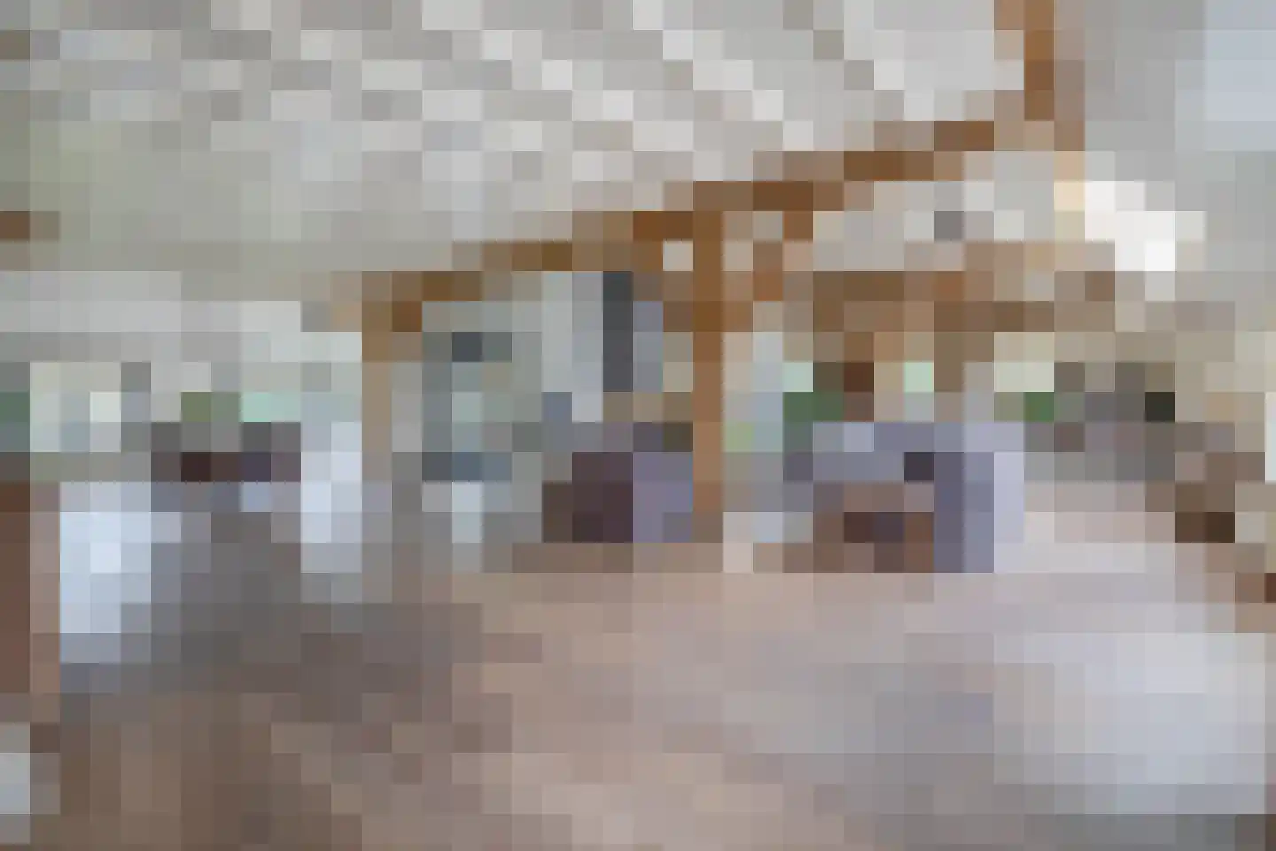 Delwijnsestraat 5 Kerkwijk thumbnail 36