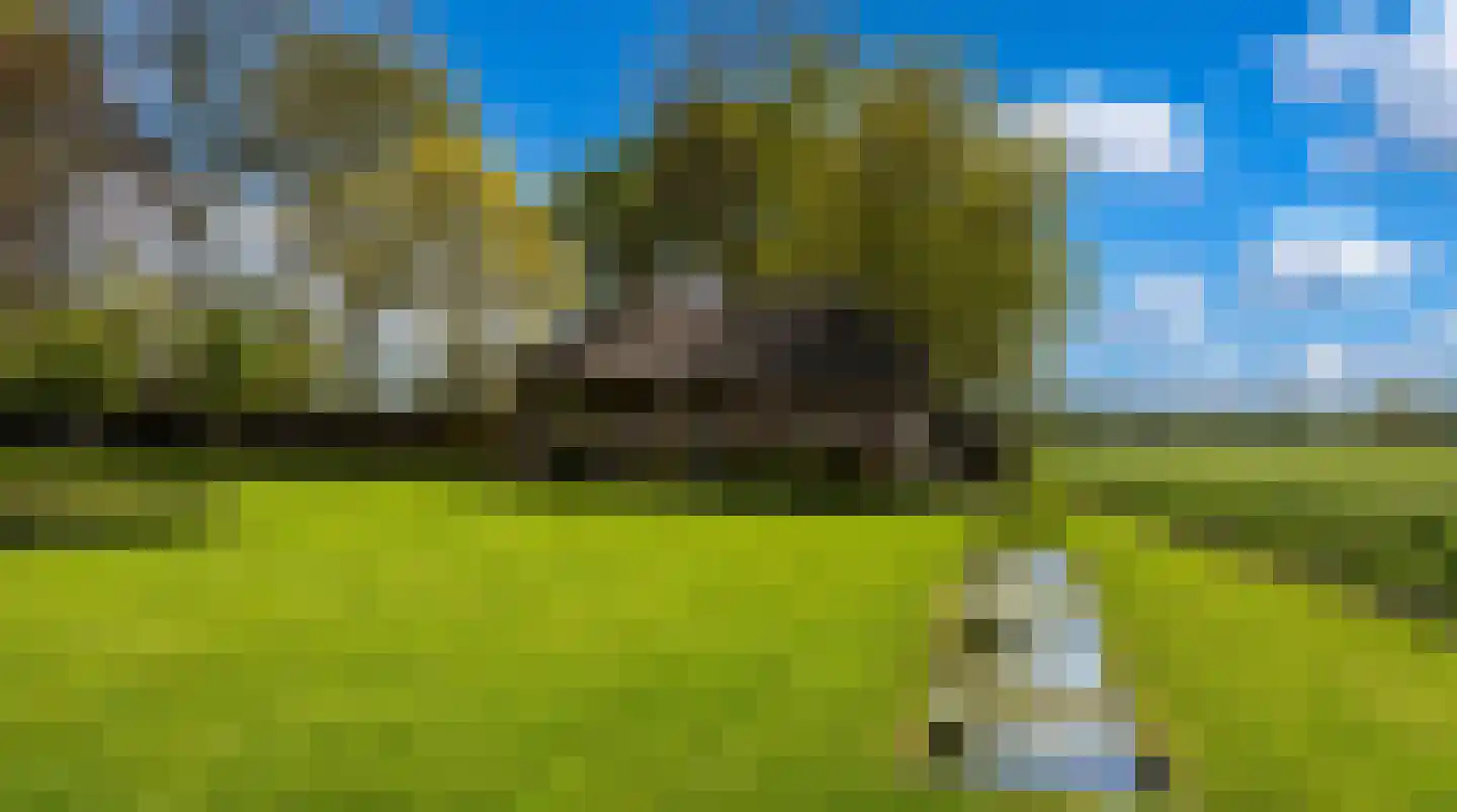 Delwijnsestraat 5 Kerkwijk thumbnail 37