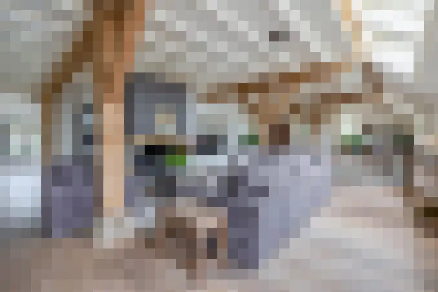 Delwijnsestraat 5 Kerkwijk thumbnail 38