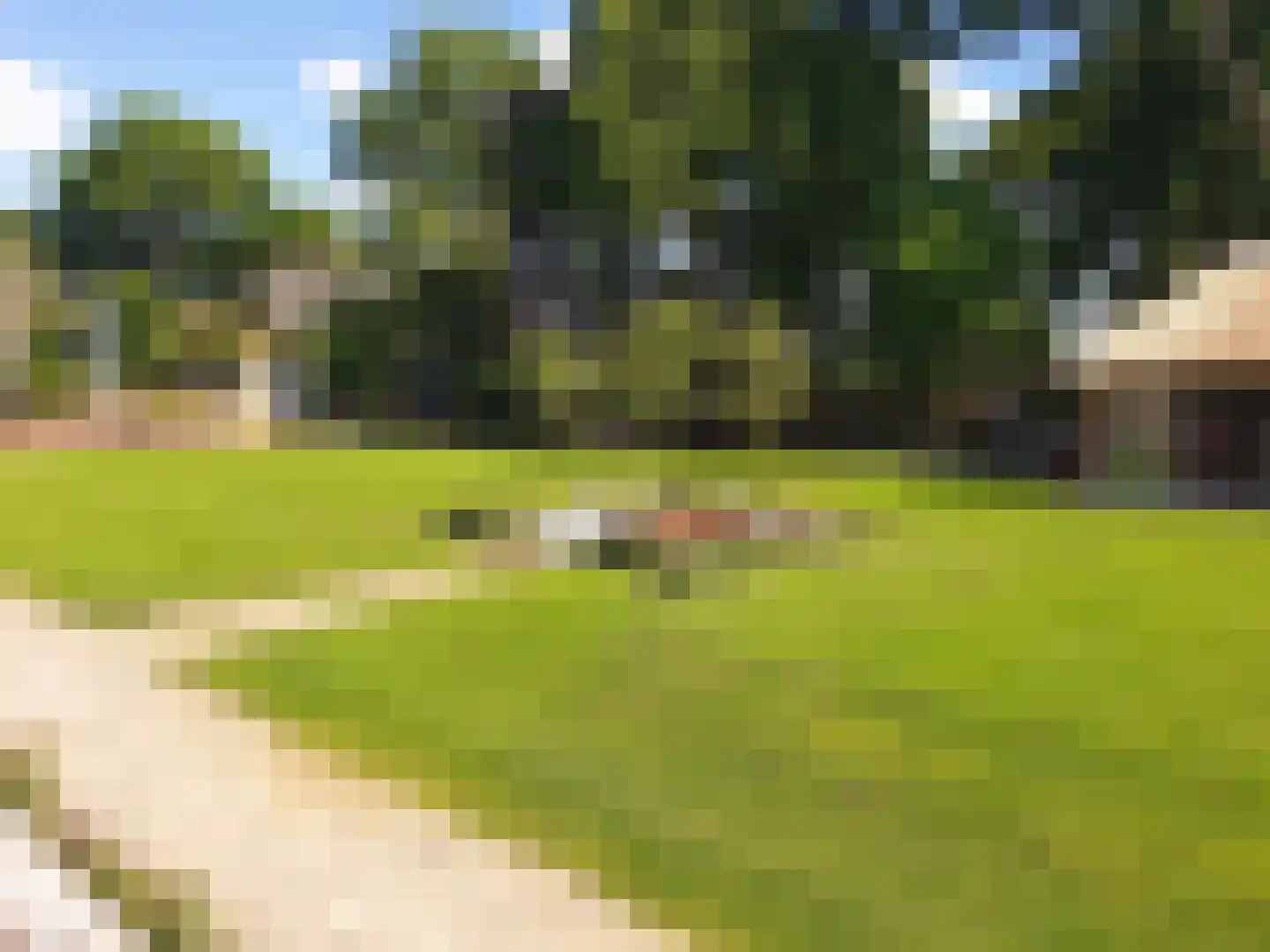 Delwijnsestraat 5 Kerkwijk thumbnail 40