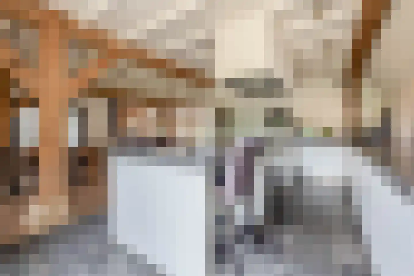 Delwijnsestraat 5 Kerkwijk thumbnail 43