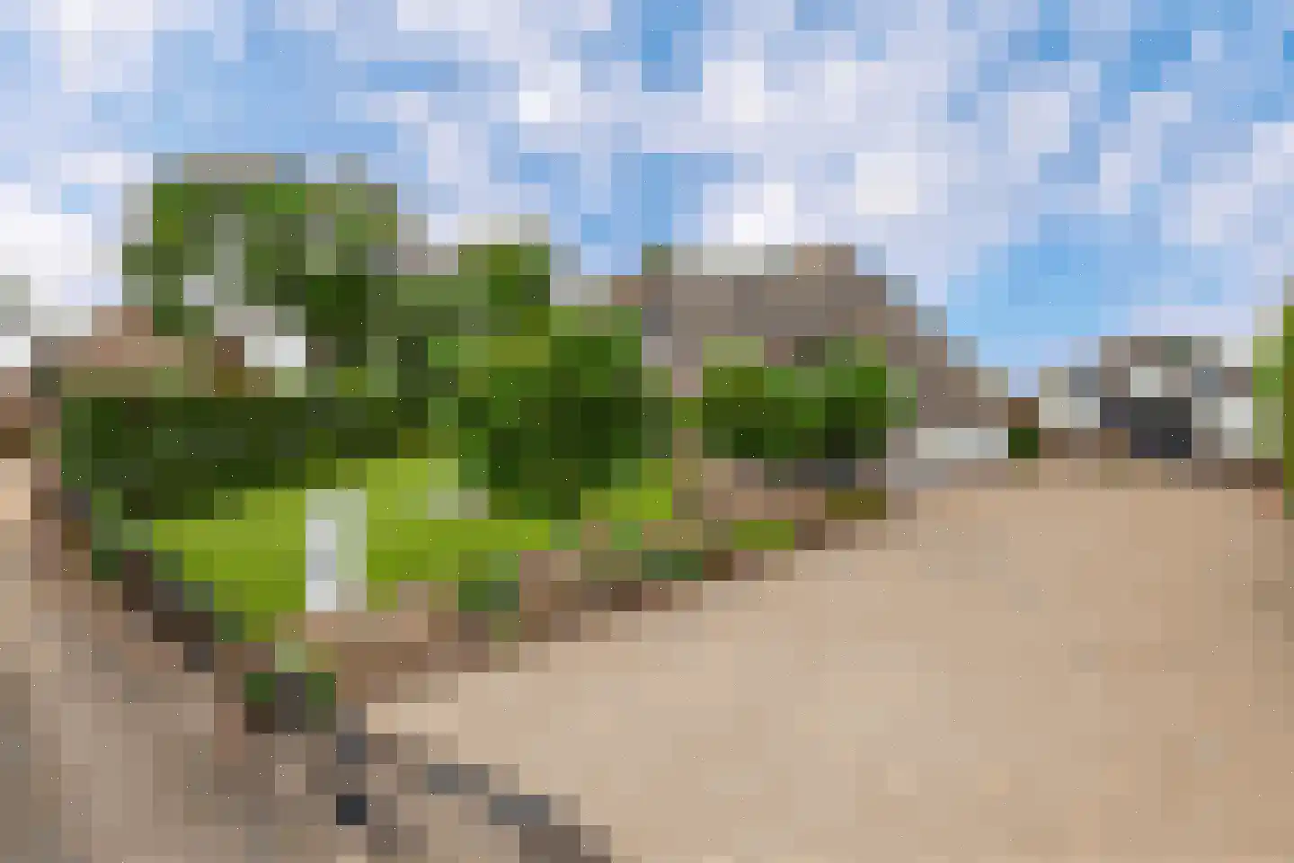 Delwijnsestraat 5 Kerkwijk thumbnail 5