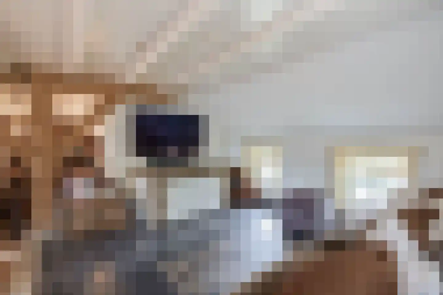 Delwijnsestraat 5 Kerkwijk thumbnail 52