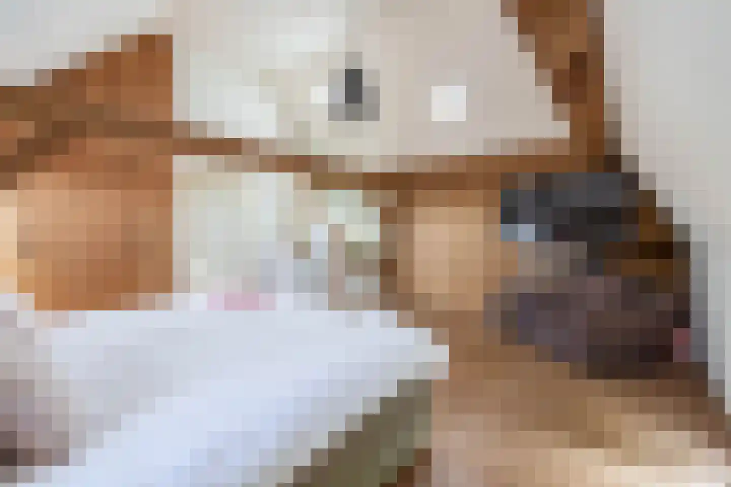 Delwijnsestraat 5 Kerkwijk thumbnail 60