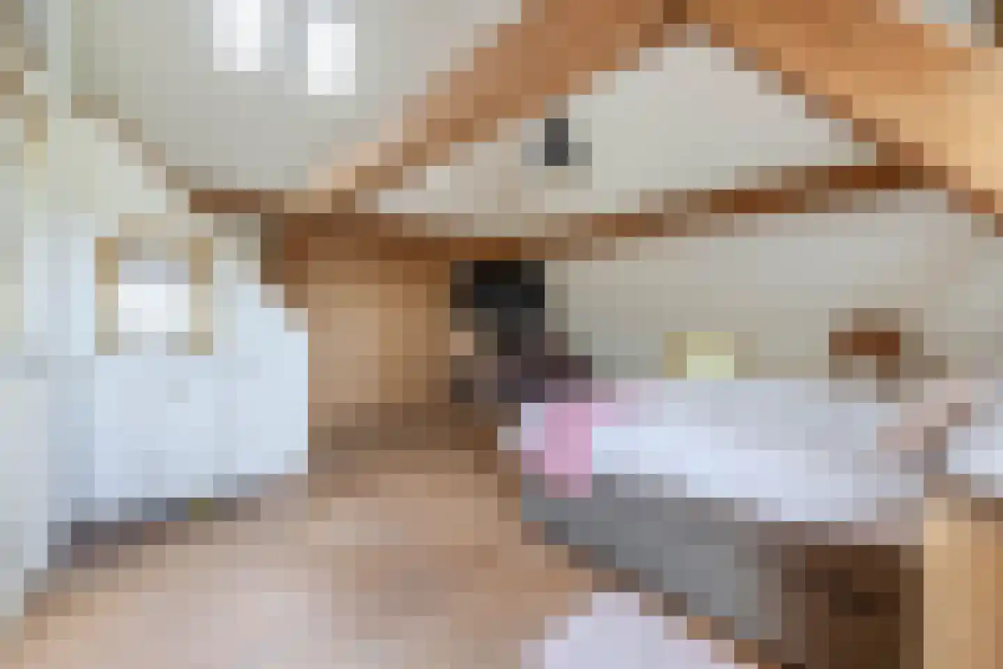 Delwijnsestraat 5 Kerkwijk thumbnail 61