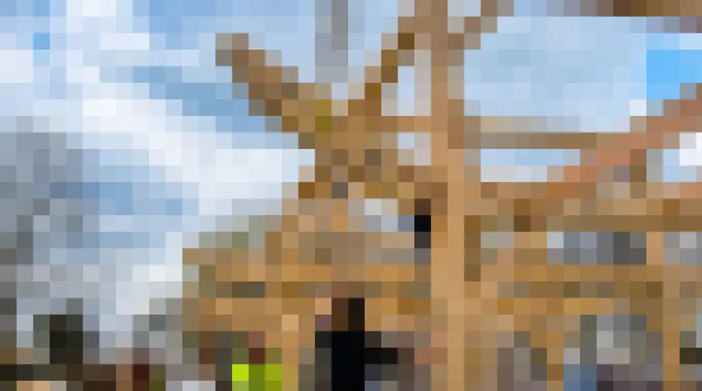 Delwijnsestraat 5 Kerkwijk thumbnail 7