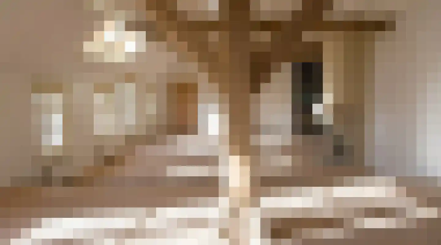 Delwijnsestraat 5 Kerkwijk thumbnail 9