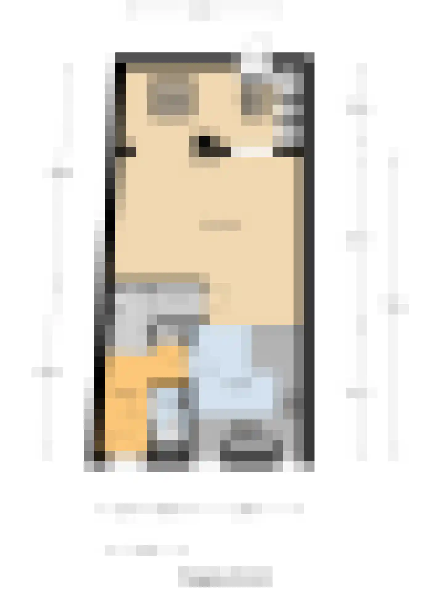 Demer 44 C Heusden thumbnail 12