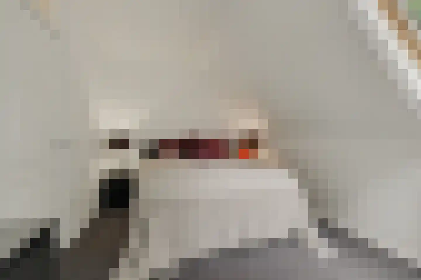 Demer 44 C Heusden thumbnail 14