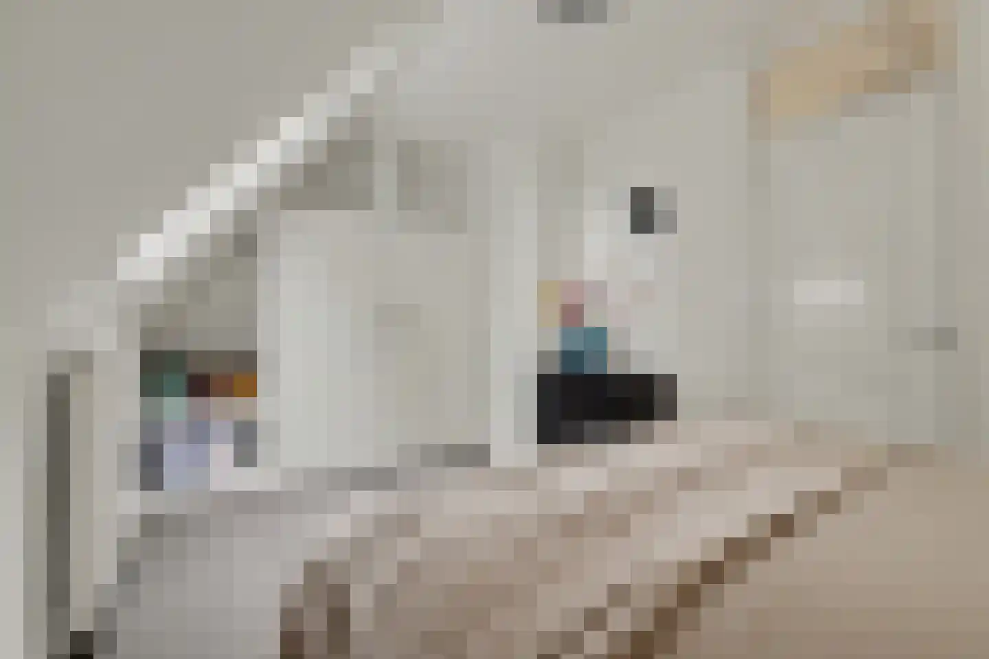 Demer 44 C Heusden thumbnail 15