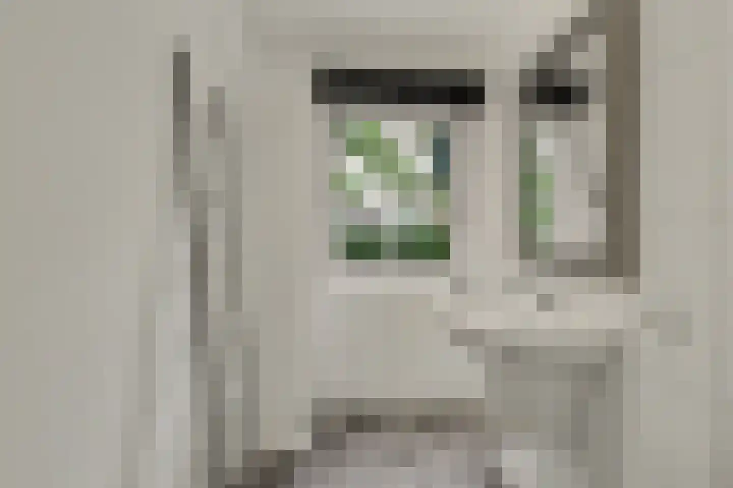 Demer 44 C Heusden thumbnail 16