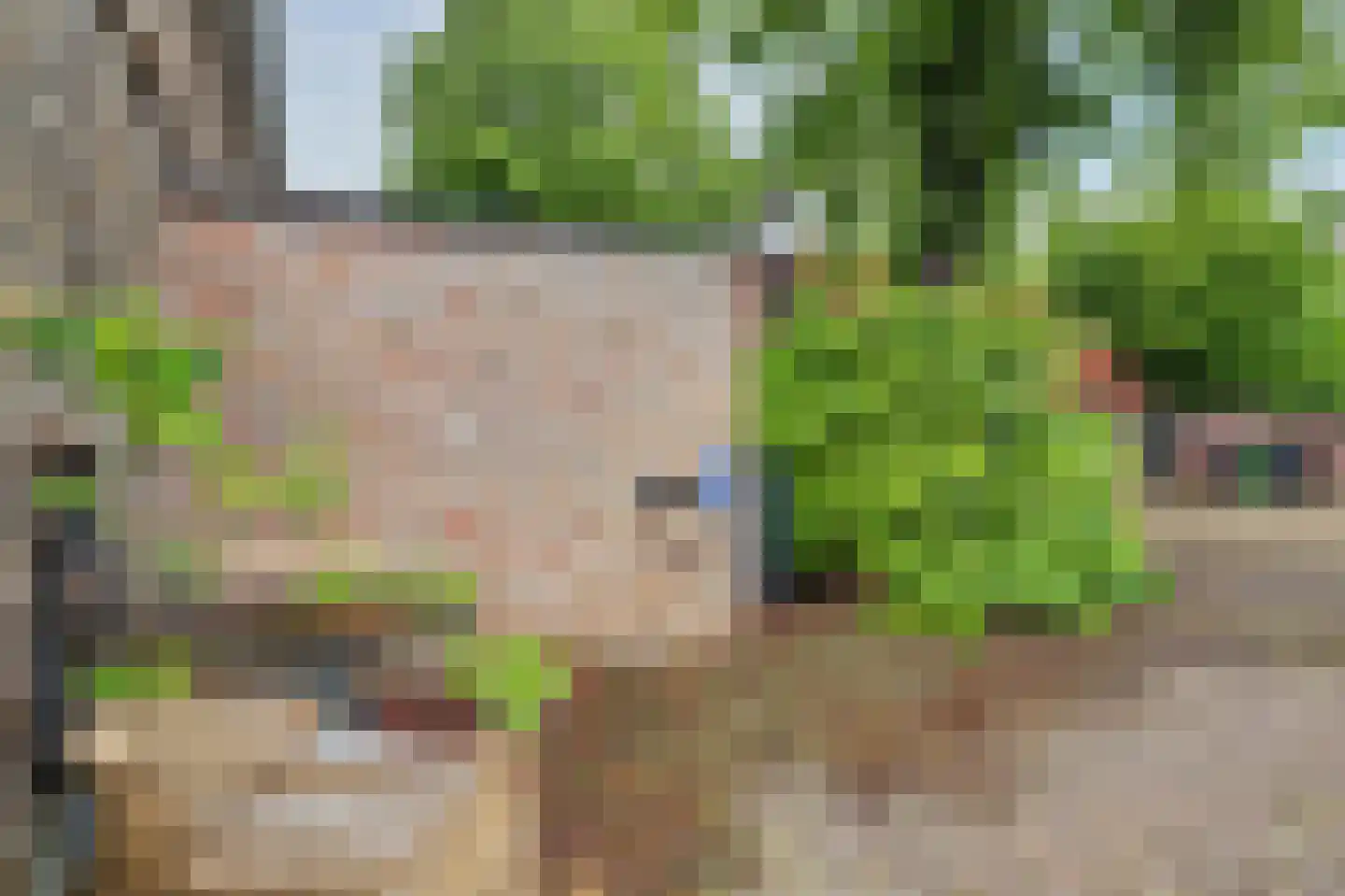 Demer 44 C Heusden thumbnail 27