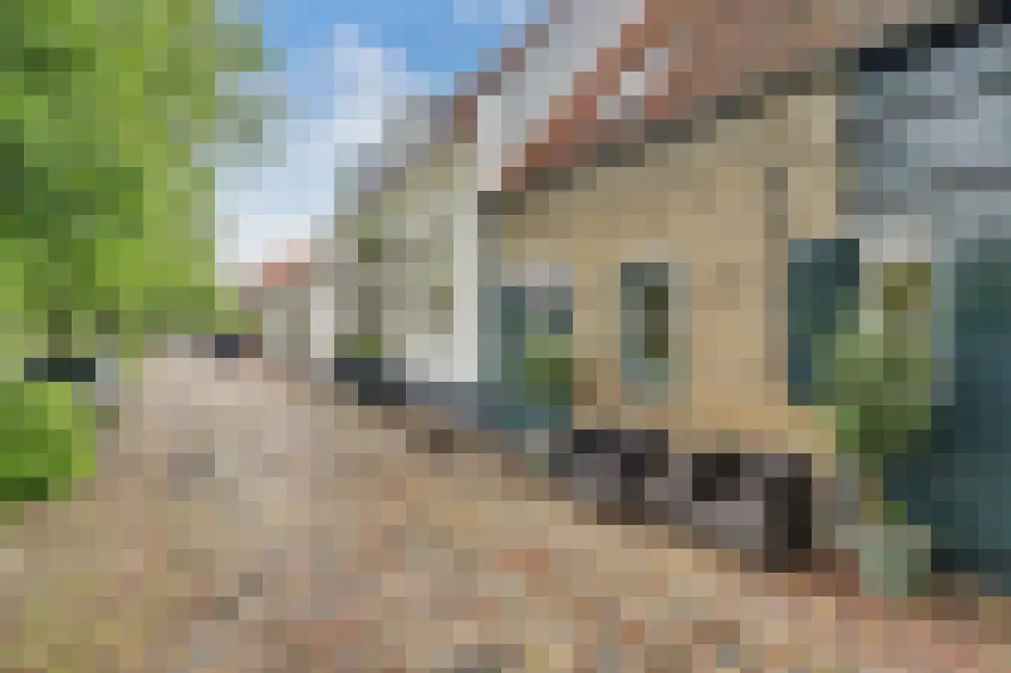 Demer 44 C Heusden thumbnail 29