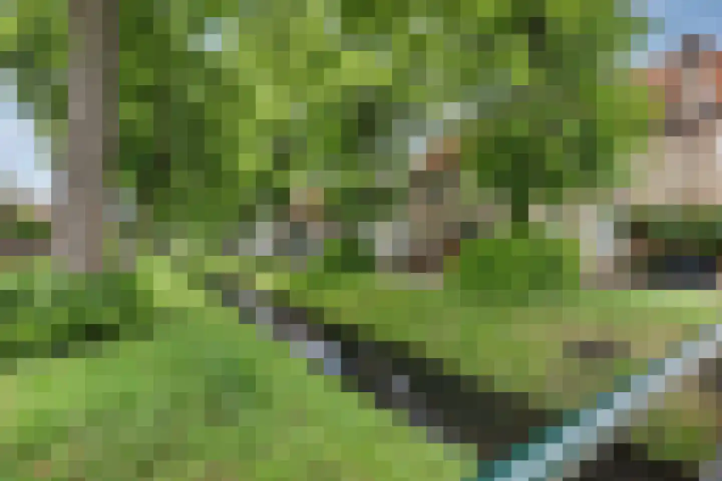 Demer 44 C Heusden thumbnail 32