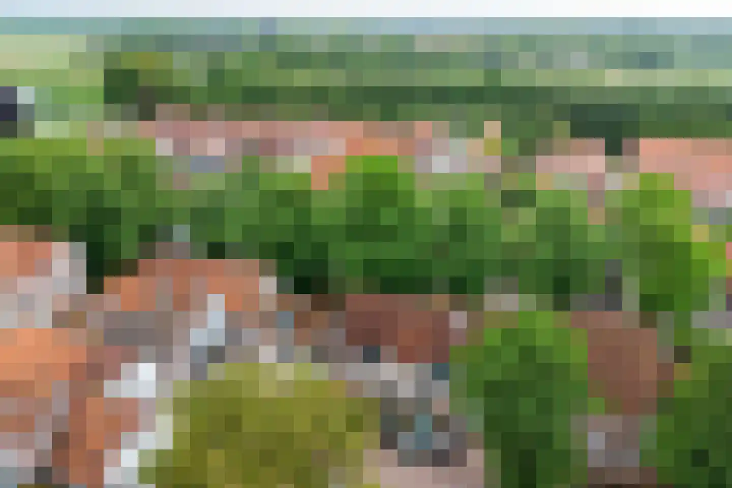 Demer 44 C Heusden thumbnail 35