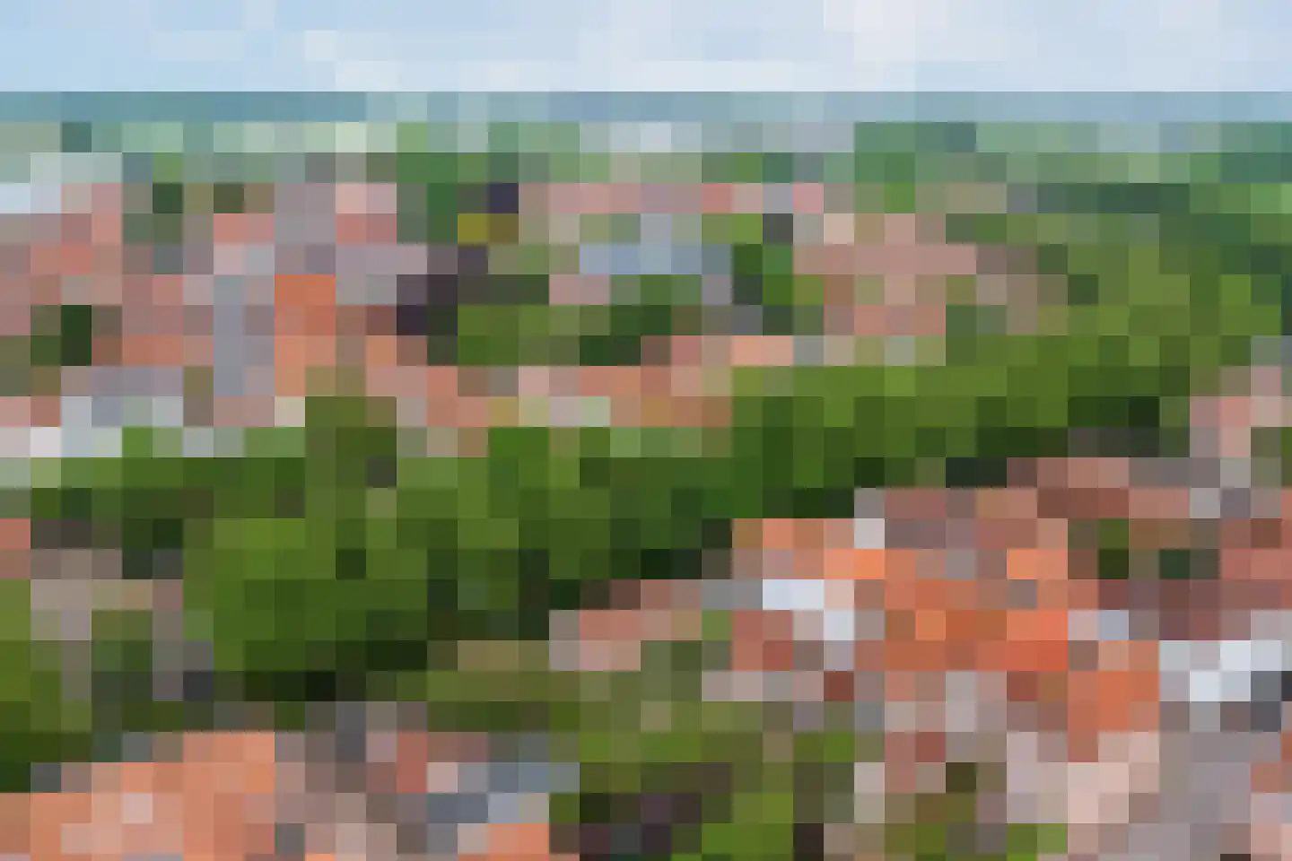 Demer 44 C Heusden thumbnail 36