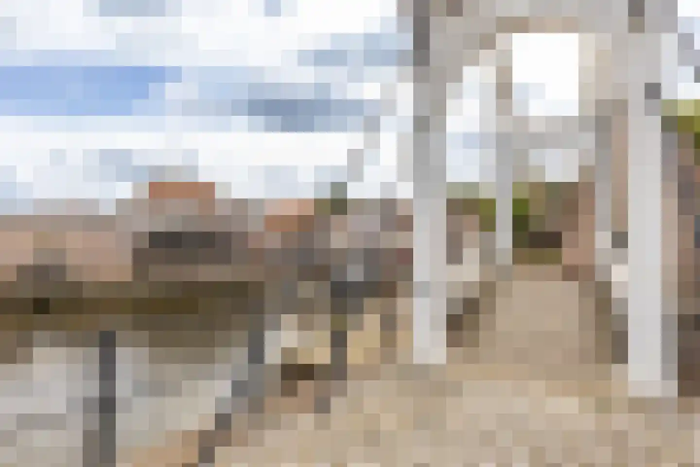Demer 44 C Heusden thumbnail 42