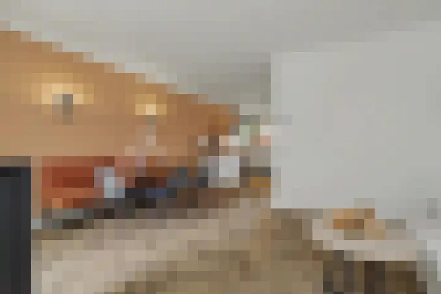 Demer 44 C Heusden thumbnail 5