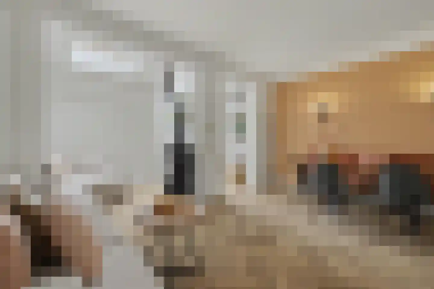 Demer 44 C Heusden thumbnail 7