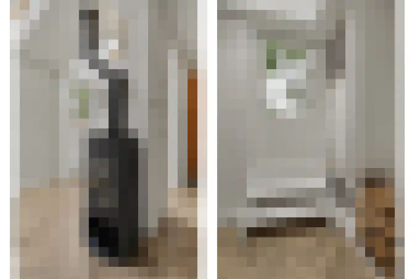 Demer 44 C Heusden thumbnail 8