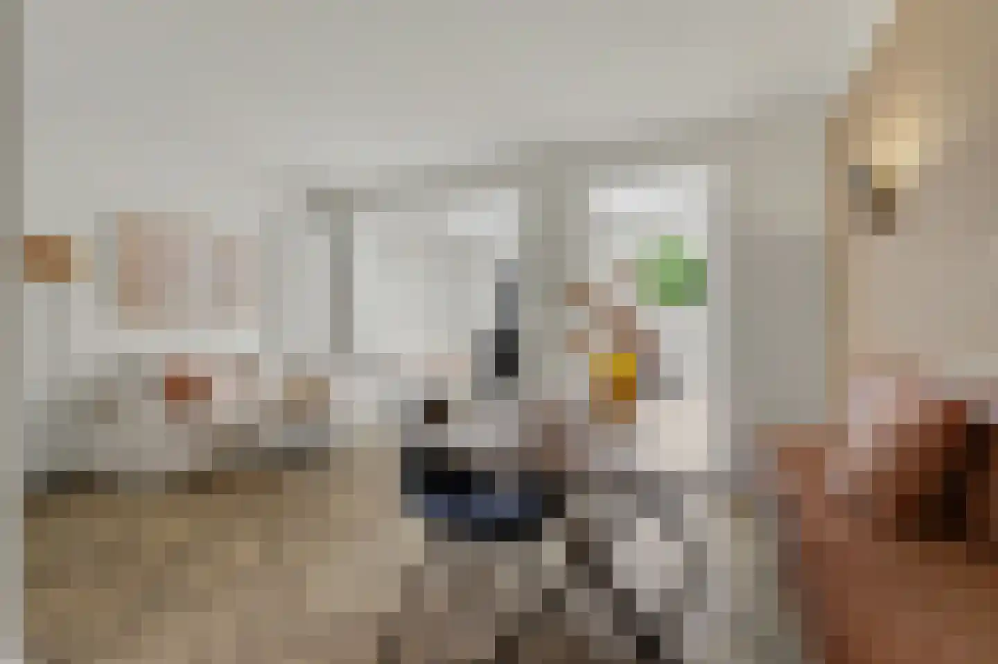 Demer 44 C Heusden thumbnail 9