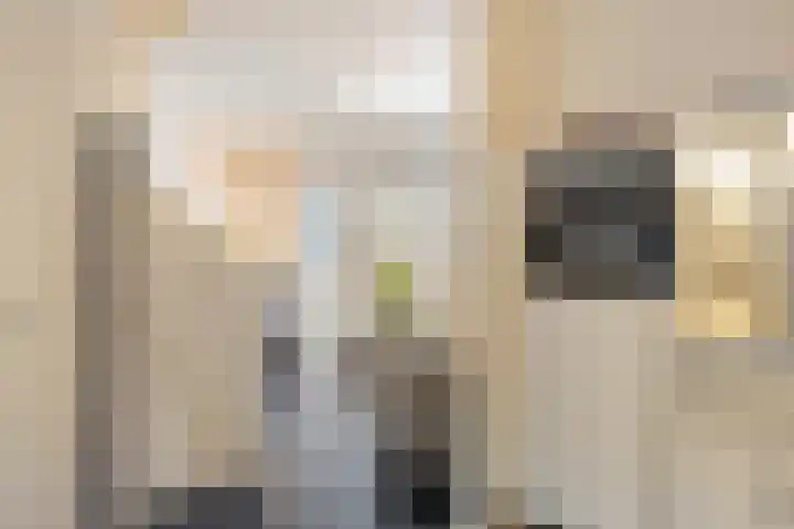 Demer 44 Heusden thumbnail 10